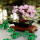 LEGO Botanicals Drzewko bonsai 10281 - 1012696 - zdjęcie 5